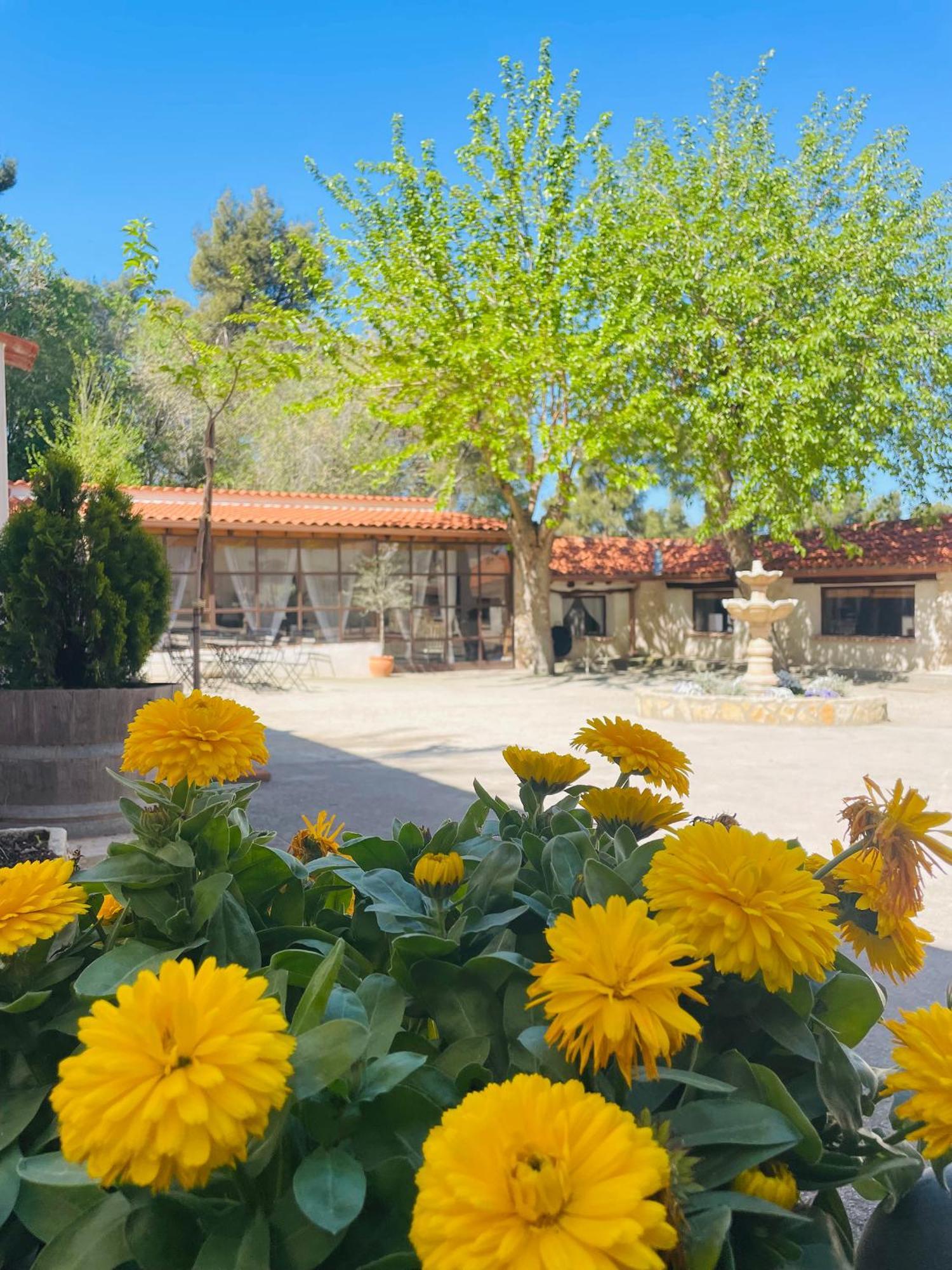 Casa Rural Majada Del Conde Ла Гуардия Екстериор снимка